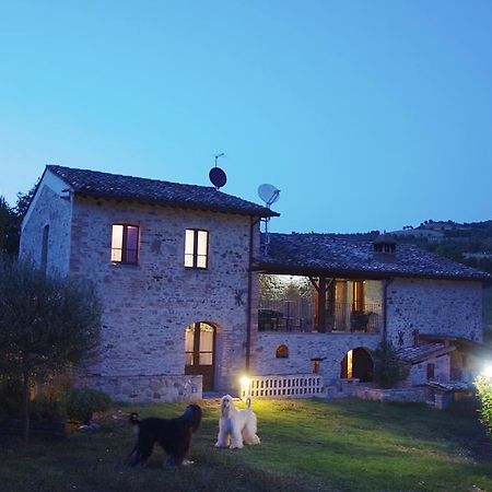 La Pietra Rara B&B Montone  Exterior foto