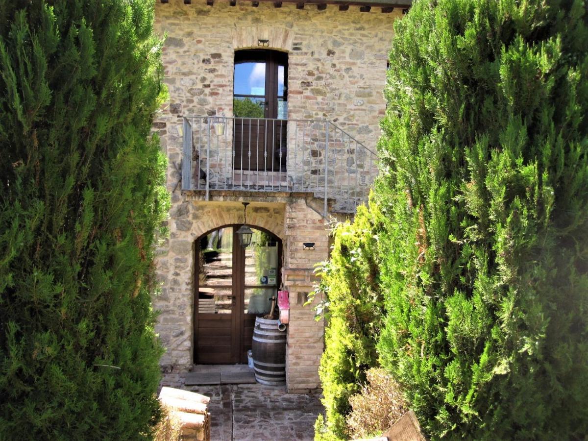 La Pietra Rara B&B Montone  Exterior foto